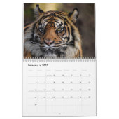 Tijger Wilde Dieren 2025 Kalender (Feb 2027)