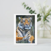 Tijger Wilde Dieren Levensfotografie Postcrossing Briefkaart (Staand voorkant)