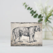 Tijger  wildgroei decoratief briefkaart (Staand voorkant)