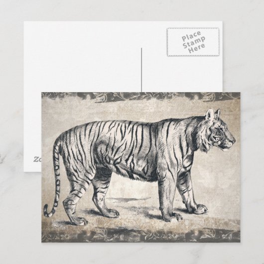 Tijger  wildgroei decoratief briefkaart (Voorkant / Achterkant)