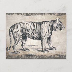 Tijger wildgroei decoratief briefkaart