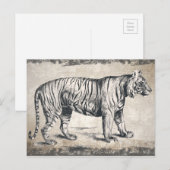 Tijger  wildgroei decoratief briefkaart (Voorkant / Achterkant)