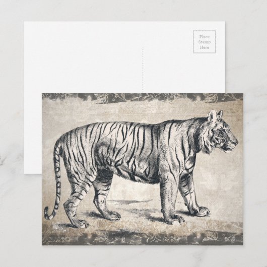 Tijger  wildgroei decoratief briefkaart (Voorkant / Achterkant)