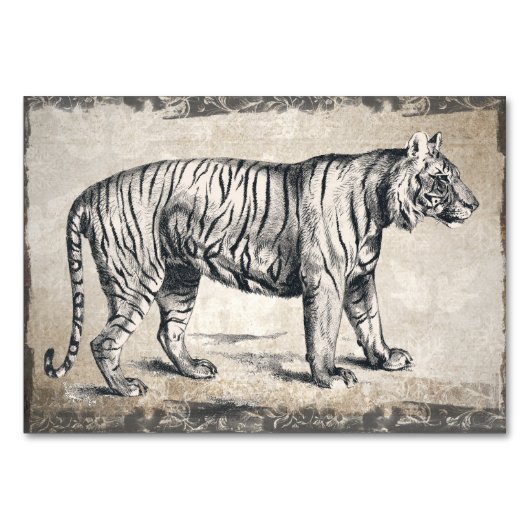 Tijger  wildgroei decoratief kaart (Achterkant)