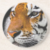 tijger zandsteen onderzetter (Voorkant)