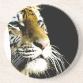 tijger zandsteen onderzetter (Voorkant)