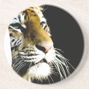 tijger zandsteen onderzetter