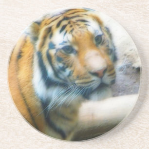 tijger zandsteen onderzetter