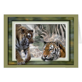 Tijger, Zebra, Giraffe, luiers en groeten