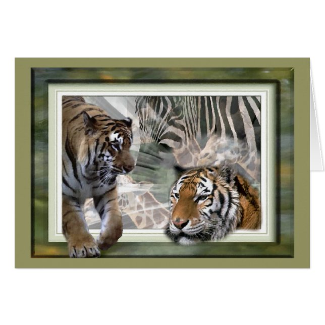 Tijger, Zebra, Giraffe, luiers en groeten (Voorkant Horizontaal)