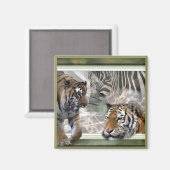 Tijger, Zebra, Giraffe, luiers en groeten Magneet (Voorkant / Achterkant)