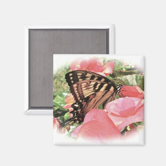 Tijger zwaluwstaart magneet (Voorkant / Achterkant)