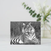 Tijger - zwart-wit briefkaart (Staand voorkant)