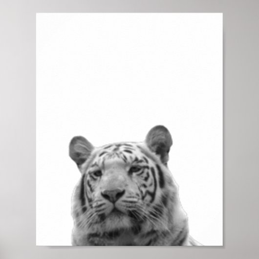 Tijger Zwart Wit  Kinderkamer Foto Poster (Voorkant)
