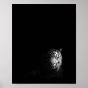 Tijger, zwarte en witte foto, poster