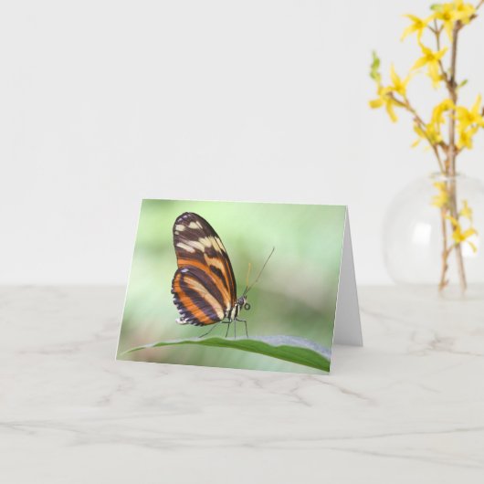 tijgerbeug kaart (Gele Bloem)