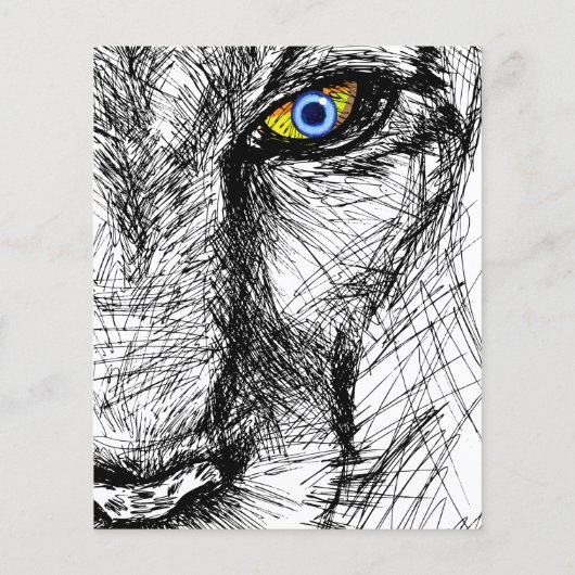 Tijgerblik Flyer (Achterkant)