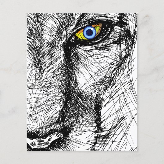 Tijgerblik Flyer (Voorkant)