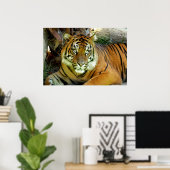 Tijgerblik  poster (Thuiskantoor)