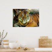 Tijgerblik  poster (Keuken)