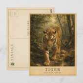 Tijgerbossen van India VINTAGE Briefkaart (Voorkant / Achterkant)