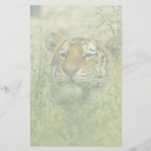 tijgerbriefpapier briefpapier (Voorkant)