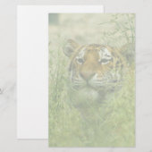 tijgerbriefpapier briefpapier (Voorkant / Achterkant)