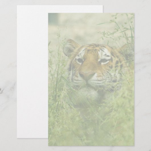 tijgerbriefpapier briefpapier (Voorkant / Achterkant)