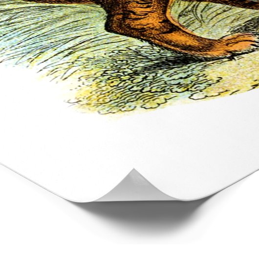 tijgerdierillustratie poster (Hoek)