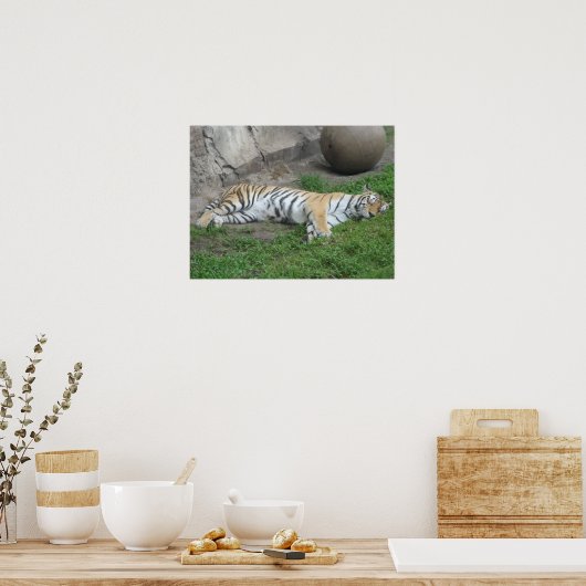 Tijgerdroams Poster (Keuken)