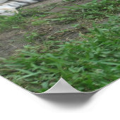 Tijgerdroams Poster (Hoek)