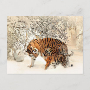 Tijgerfamilie in het winterlandschap Briefkaart