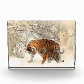 Tijgerfamilie in winterlandschap fotoblok (Voorkant)
