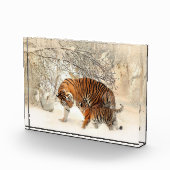 Tijgerfamilie in winterlandschap fotoblok (Rechts)