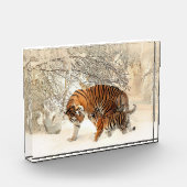 Tijgerfamilie in winterlandschap fotoblok (Links)