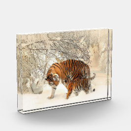 Tijgerfamilie in winterlandschap fotoblok