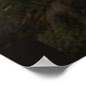 Tijgerfamilie Poster (Hoek)