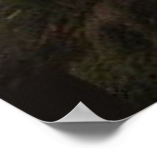 Tijgerfamilie Poster (Hoek)