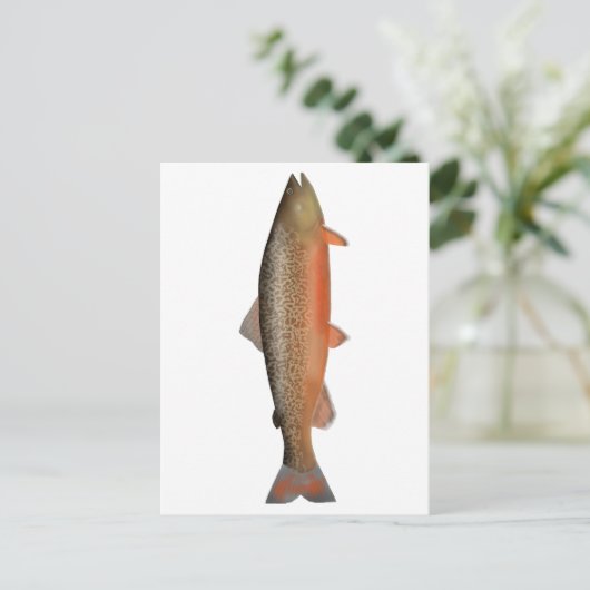 tijgerforel briefkaart (Staand voorkant)