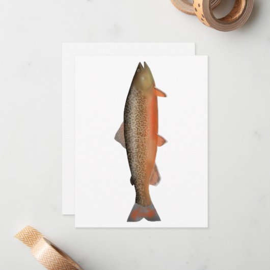 tijgerforel notitiekaartje (Voorkant / Achterkant in situ)