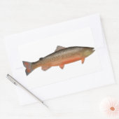 tijgerforel rechthoekige sticker (Envelop)