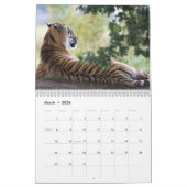 Tijgerfoto's 12 maanden kalender (Mar 2026)