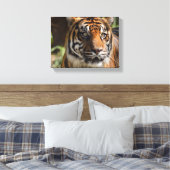 tijgergezicht canvas afdruk (Insitu (Slaapkamer))