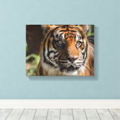 tijgergezicht canvas afdruk (Insitu (Houten vloer))