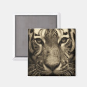 Tijgergezicht in Sepia Tones Magneet (Voorkant / Achterkant)