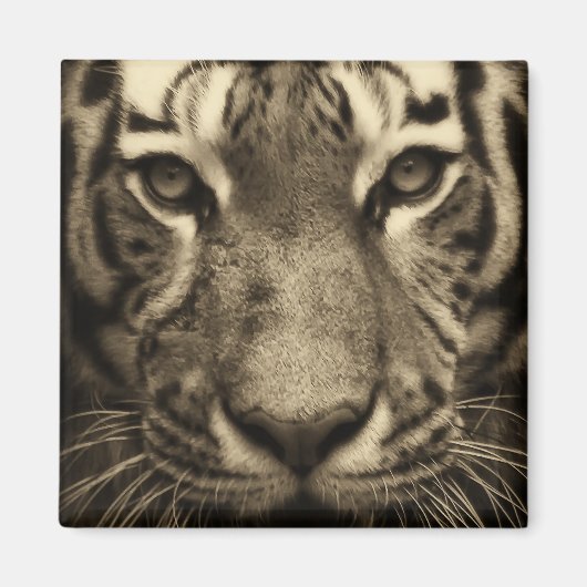 Tijgergezicht in Sepia Tones Magneet (Voorkant)