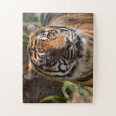 tijgergezicht legpuzzel (Verticaal)