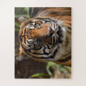 Tijgergezicht Legpuzzel (Verticaal)