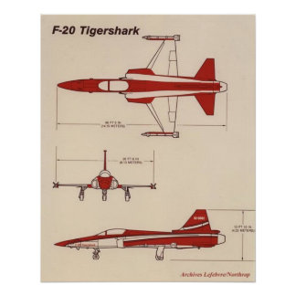 tijgerhaai f20 perfect poster