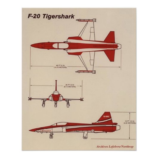 tijgerhaai f20 perfect poster (Voorkant)